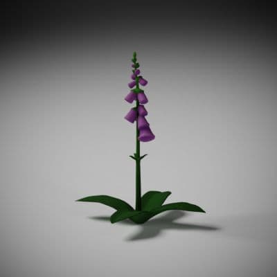 Purple Foxglove Spire