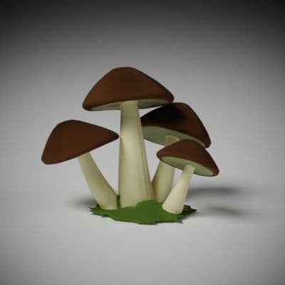 Clustered Forest Toadstools