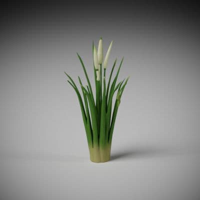 Reed Cluster Bundle